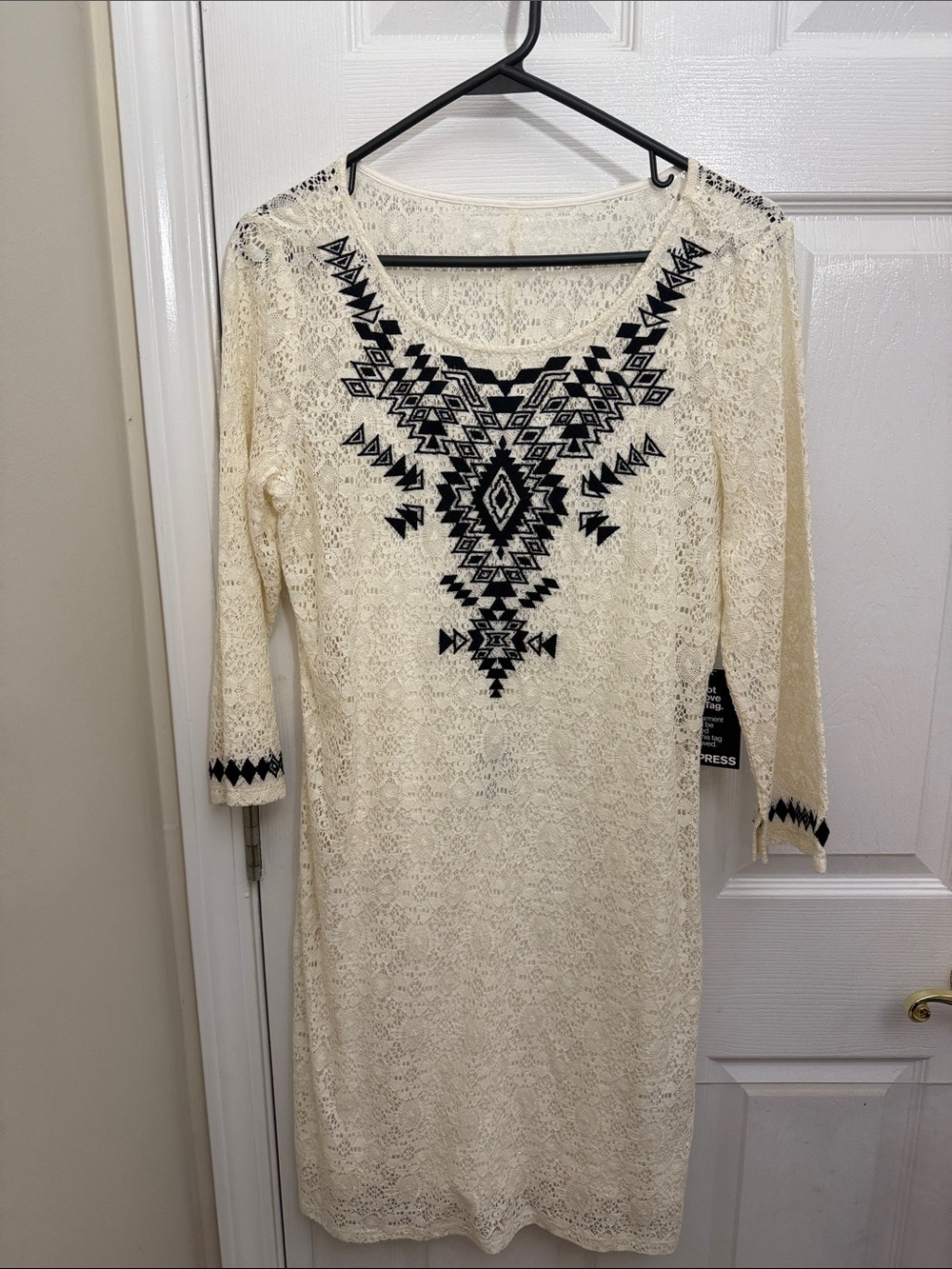 Express Cream Lace Dress with Black Embroidered Geometric Detail